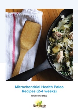 Mitrochondrial Health Paleo-recipes-2-4-weeks_Página_01